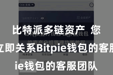 比特派多链资产  您需要立即关系Bitpie钱包的客服团队