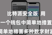 比特派安全版  用户不错在一个钱包中简单地措置多种数字财富