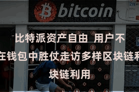 比特派资产自由  用户不错在钱包中胜仗走访多样区块链利用