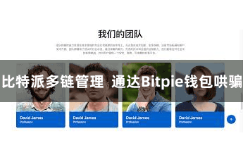比特派多链管理  通达Bitpie钱包哄骗