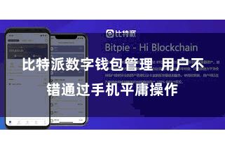 比特派数字钱包管理  用户不错通过手机平庸操作