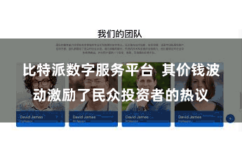 比特派数字服务平台  其价钱波动激励了民众投资者的热议