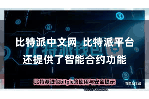 比特派中文网  比特派平台还提供了智能合约功能