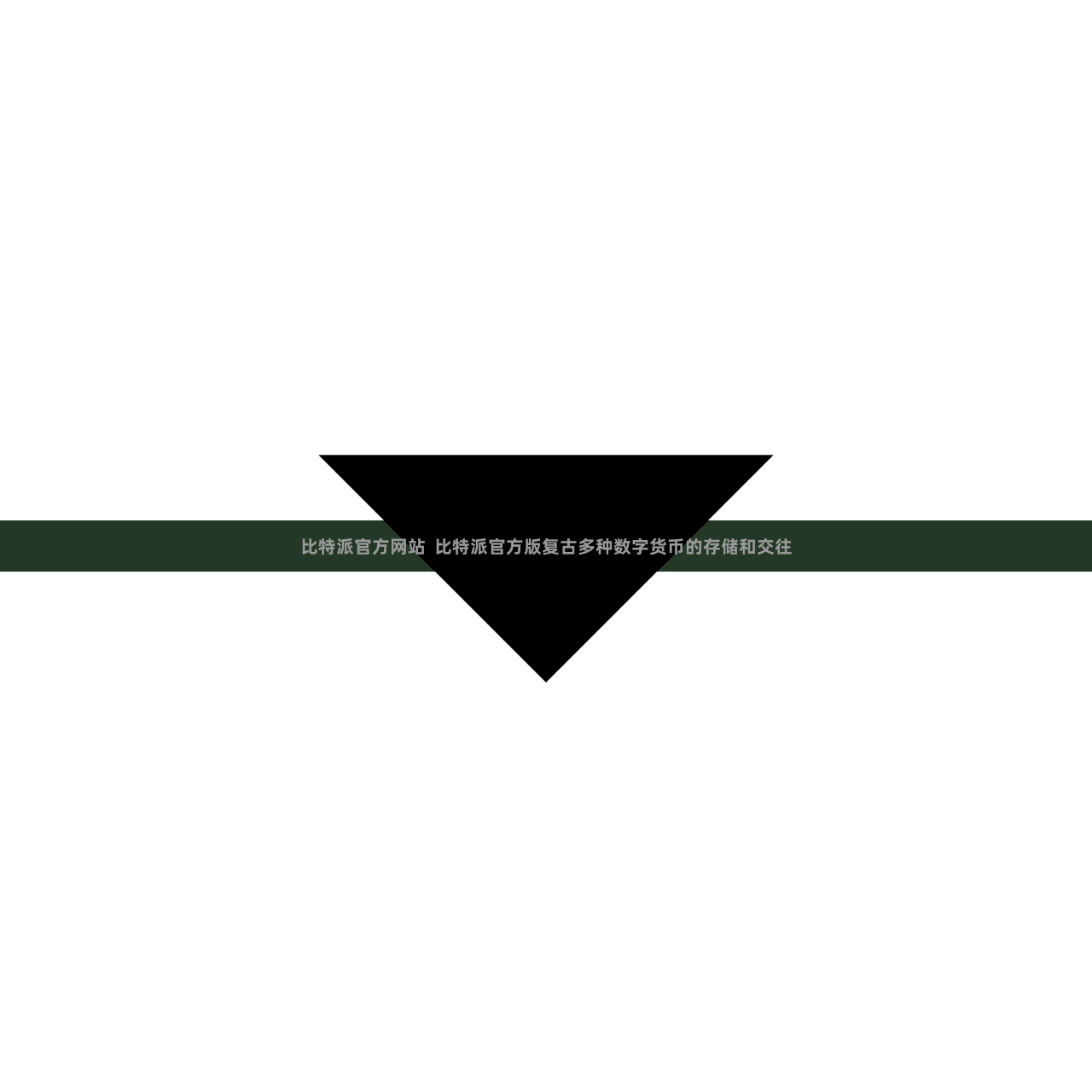 比特派官方网站  比特派官方版复古多种数字货币的存储和交往
