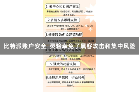 比特派账户安全  灵验幸免了黑客攻击和集中风险