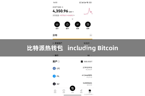 比特派热钱包   including Bitcoin