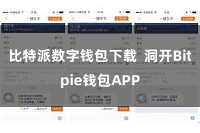 比特派数字钱包下载  洞开Bitpie钱包APP